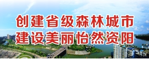 大鸡巴操逼视频网址创建省级森林城市 建设美丽怡然资阳